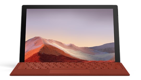 乐山清洁和维护 Surface